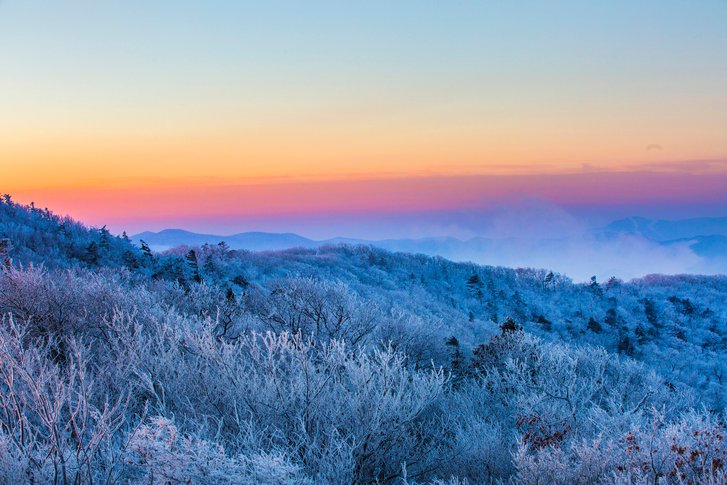 Pyeongchang in korea, ski, winter sport