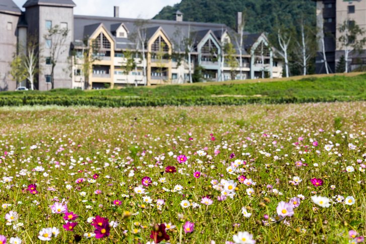 Alpensia Resort in PyeongChang, Korea