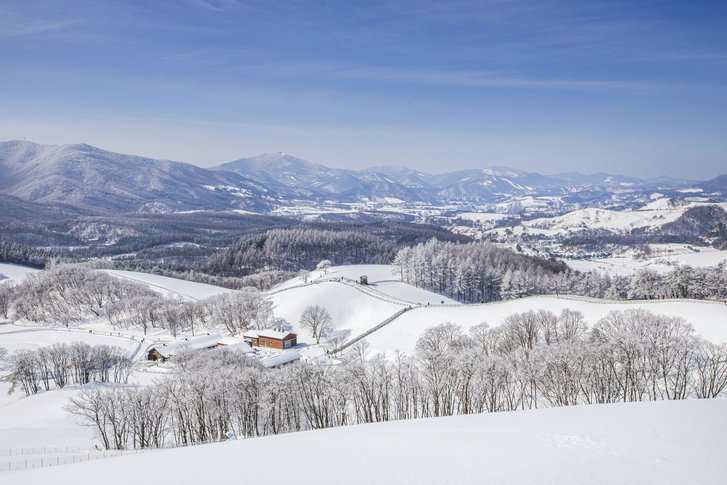 2018 winter olympics in PyeongChang, Korea