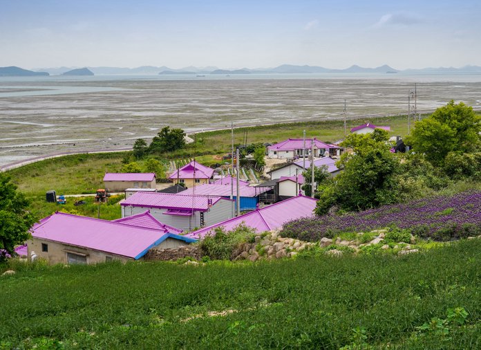 purple Banwol Island