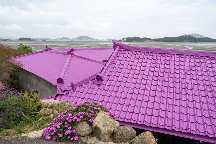 purple Banwol Island, Korea