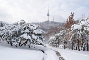 Winter in Seoul