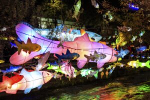 2023 Seoul Lantern Festival & Gwanghwamun Square Market