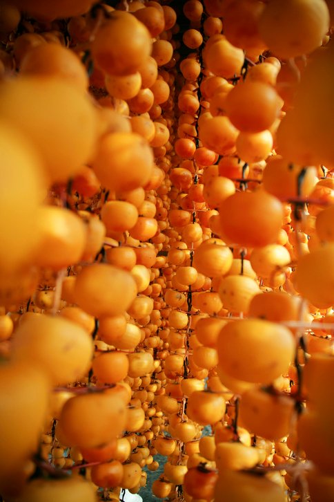 Persimmon Festivals