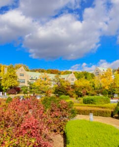 Korean Language Institutes at University in Seoul: A Guide for International Students