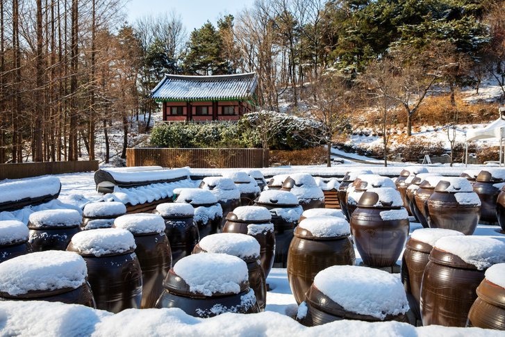 Korean Temple Cuisine, Preserved/Fermented Foods