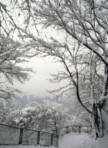 Winter Vacation at Seoul's Parks