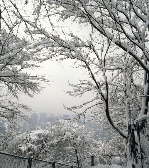 Winter Vacation at Seoul's Parks